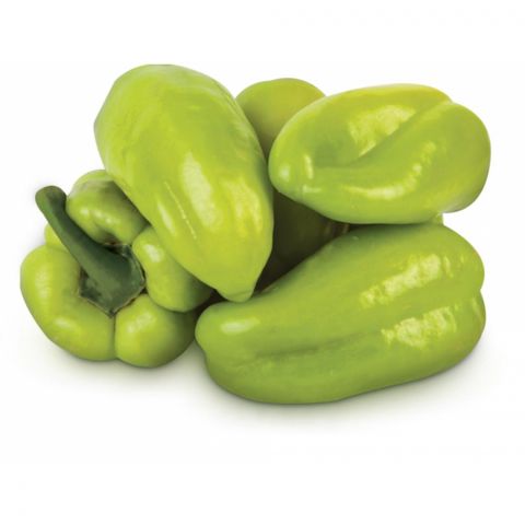 Balgar burçy
