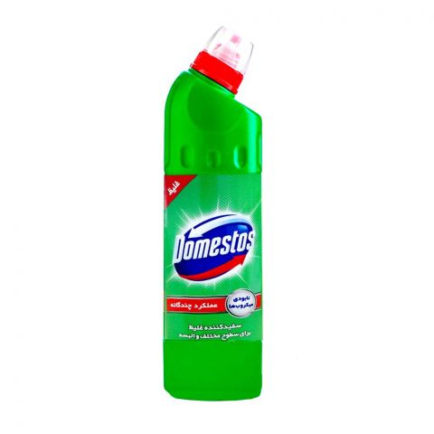 Domestos 750ml (Eýran önümi)