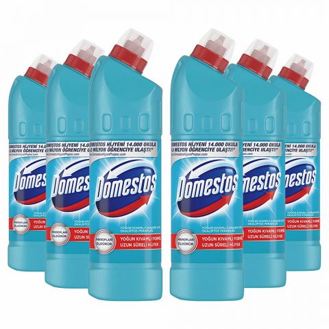 Domestos güýçli agardyjy we ewkalipt ysly750ml